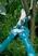 Bypass Pruning Lopper 500 BL