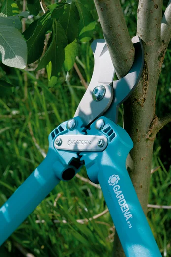 Bypass Pruning Lopper 500 BL