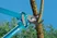 Bypass Pruning Lopper 500 BL