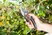 Garden Secateurs B/S-XL
