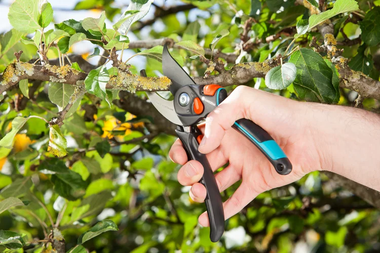 Garden Secateurs B/S-XL