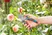 Garden Secateurs B/M
