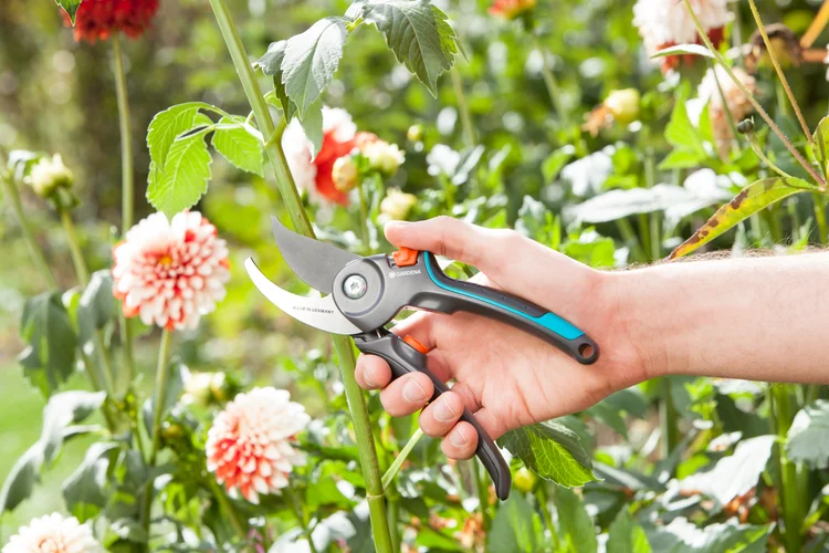 Garden Secateurs B/M