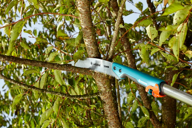 combisystem-Gartensäge 300 P gebogen