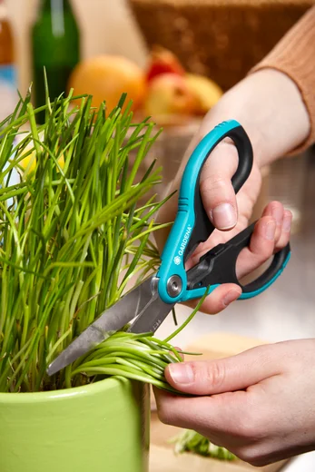 Majapidamiskäärid SchnippSchnapp XL