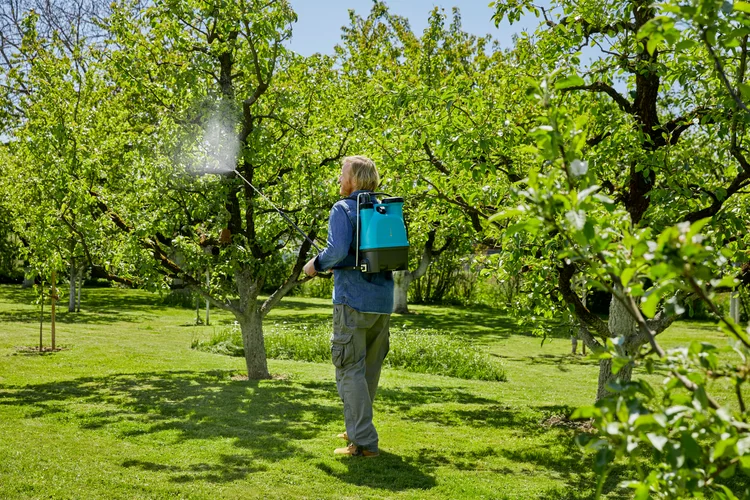ΨΕΚΑΣΤΗΡΑΣ ΠΛΑΤΗΣ COMFORT 12L
