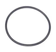 O-Ring 60x3,0 O-Ring 60x3,0