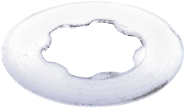 Scheibe