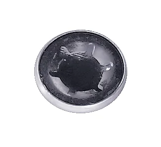 Locking ring for wheel