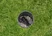 Valve Shaft, small