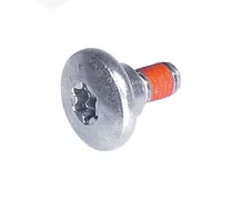 Screw Screw
