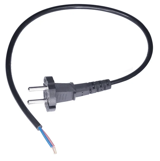 Mains lead