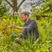Secateurs EasyCut, Bypass Cut, Garden Secateurs, 20 mm cutting diameter