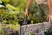 Hand trowel