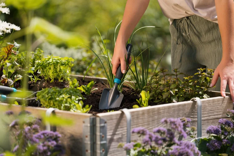 Hand trowel