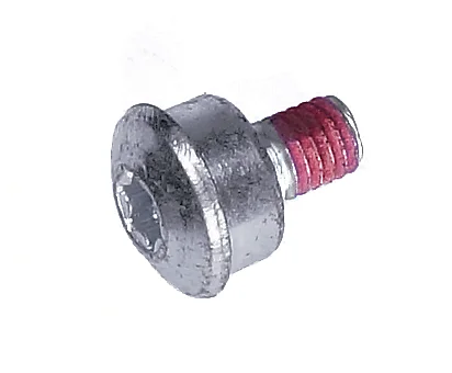 Vis Torx 30