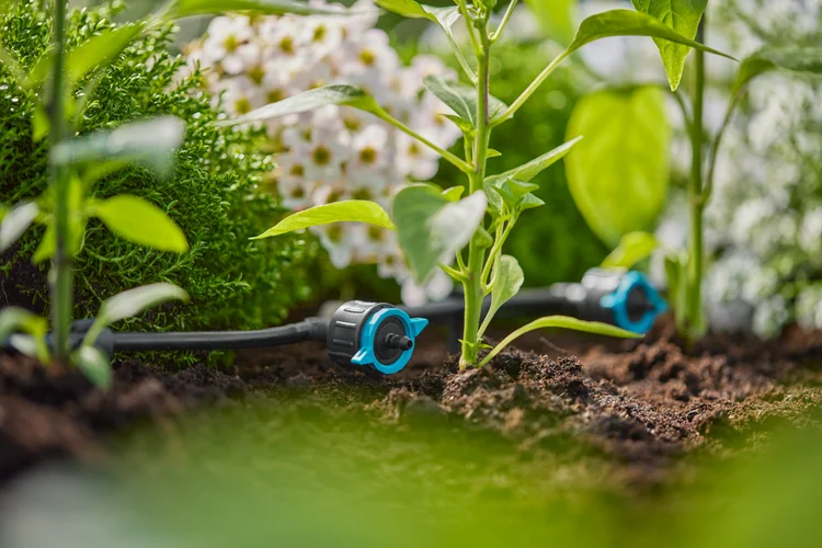 Goutteur en ligne réglable et régulateur de pression 1 - 8 l/h