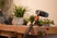 Brosse à manche souple, pour grandes surfaces sensibles