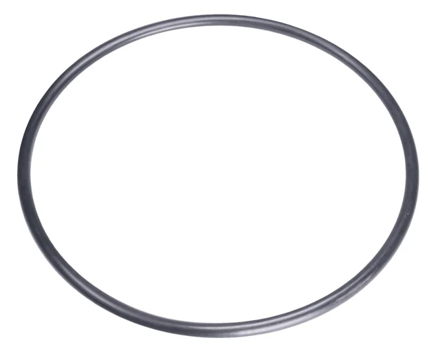 O-ring 160x6,7