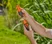Adjustable Spray Nozzle
