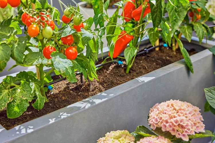 Tropfbewässerung Set Terrasse (30 Pflanzen)