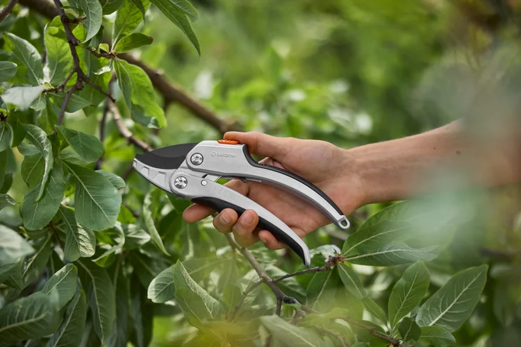 Forbici a cricchetto SmartCut