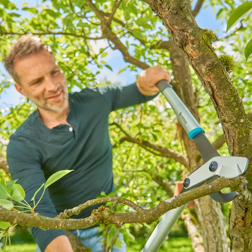 EnergyCut Basic, Astschere für Grünholz