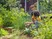 Forbici da giardino ExpertCut