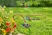 Startset Pipeline