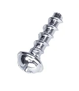 Screw Screw