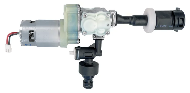 Motor