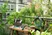 ΕΡΓΑΛΕΙΑ ΧΕΙΡΟΣ GARDENA CITY GARDENING - ΠΛΗΡΕΣ ΣΕΤ