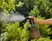 Pump Sprayer 1 L