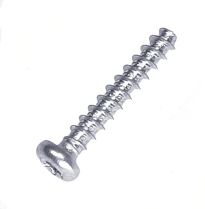 Screw