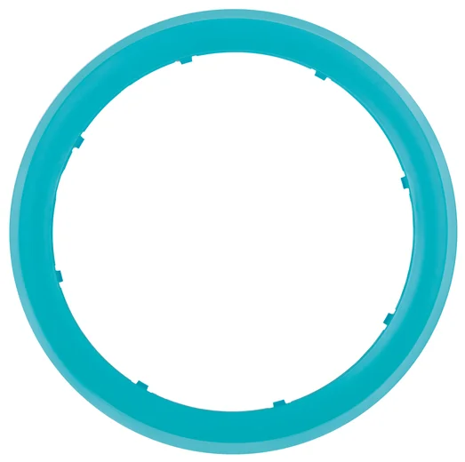 Ring outside turquoise