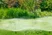 Pop-up Sprinkler SD80