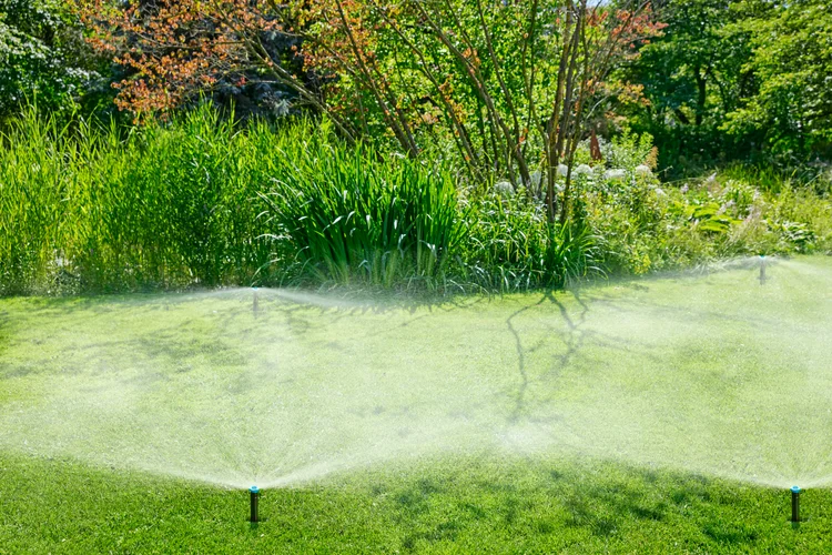 Pop-up Sprinkler SD80