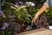Hand trowel