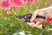 Garden Secateurs B/S-M