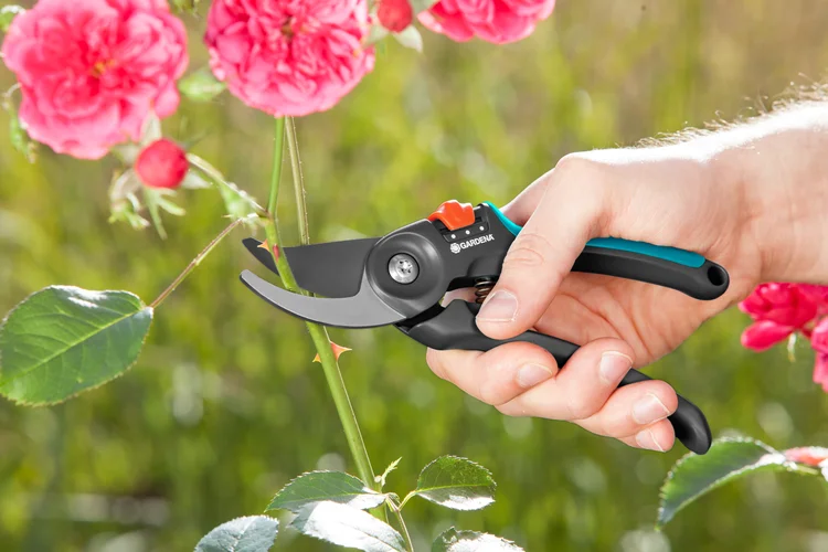 Garden Secateurs B/S-M