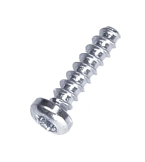 Screw STM4 x 16 Torx