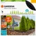 Start Set micro-irigare M cu programator pentru rânduri de plante