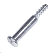 Screw Screw