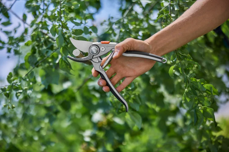 Premium Bypass Secateurs