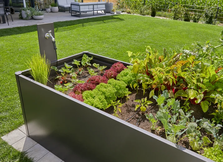 Startset voor verhoogde bloembedden en moestuinen (35 planten)
