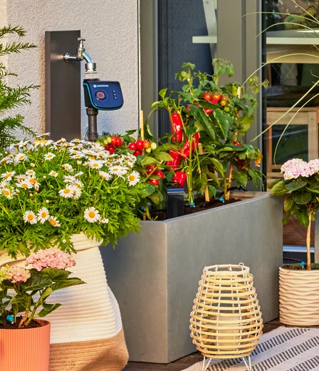 Tropfbewässerung Set Terrasse (30 Pflanzen)