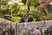 Hand trowel