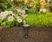 Soil Moisture Sensor