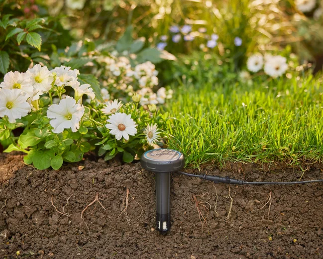 Soil Moisture Sensor