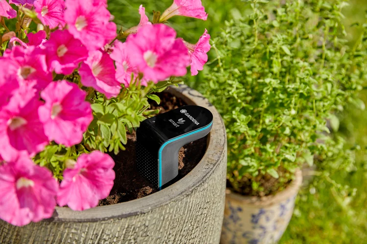 Capteur météo connecté smart Sensor - GARDENA